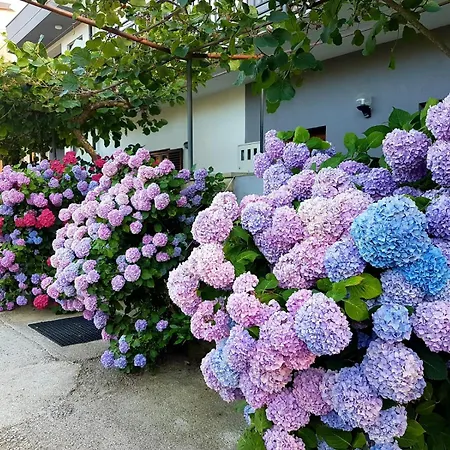 Magdalena Apartamento Fažana